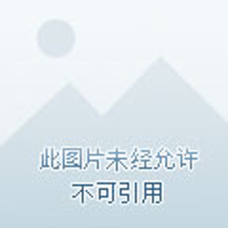 广电宝文化